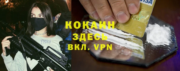 прущие грибы Волосово