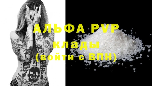 прущие грибы Волосово