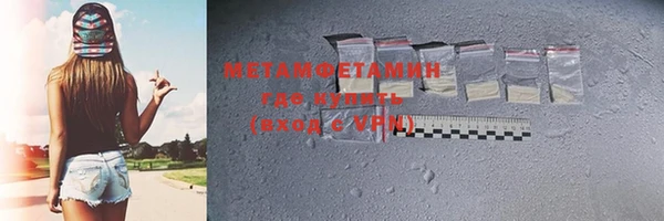 прущие грибы Волосово