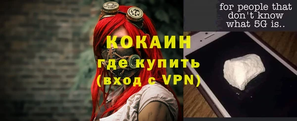 прущие грибы Волосово