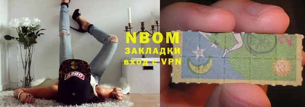 прущие грибы Волосово