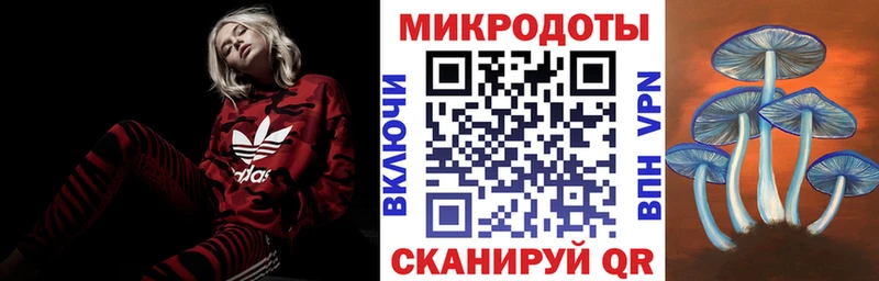 Галлюциногенные грибы прущие грибы  Чухлома 